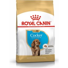 Renas Store Royal Canin Cocker Kuru Köpek Maması, Yavru Köpek, 3 kg