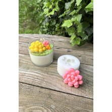 Renas Store Rufus Concept Obtusa Sukulent Mum Kalıbı (Silikon)