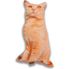 Renas Store Lepus 3 Boyutlu Kedi Yastığı No 8 40X25 cm