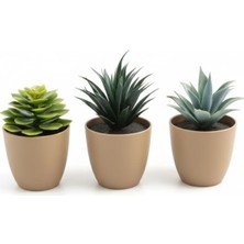Renas Store Üçlü Mini Yapay Sukulent Seti – 8 cm Saksı, Dekoratif Küçük Bitki Seti, Gerçekçi Görünüm, Salon Ofis Ev Masa Üstü Süs Bitkisi, Bakım Gerektirmez, Modern Dekor