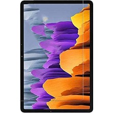 Renas Store Samsung Galaxy Tab S6 Lite 2024 P620 P610 ile Uyumlu Tablet Temperli Cam Ekran Koruyucu 13-15-17 Renksiz