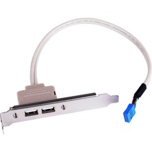Renas Store Lunatic 8150 Anakart 9 Pin Pci Kasa Içi USB 2 Port Kablosu Hub Çoklaycı. Giriş Anakart Üzerindeki 9-Pin USB 2.0 Header-Çıkış2x USB 2.0 Type-A Dişi (Arka Panelde)