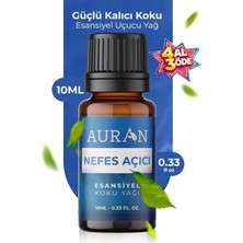Renas Store Auran Nefes Açıcı Nane ve Okaliptüs Esansiyel Uçucu Koku Yağı Buhurdanlık Yağı Difüzör Esansı Küre 10ML