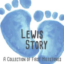 Renas Store Lewis' Story - A Collection Of First Milestones: The Personalised Memory Album To Fill Out, Paste In And Design Yourself - Baby Album For The First 5 Years Of Life