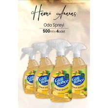 Renas Store Eyüp Sabri Tuncer Yeni Nesil Oda Spreyi Hawaii Ananas 500 ml x 4 Adet