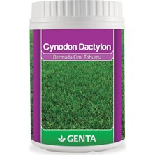 Renas Store Genta Cynodon Dactylon Bermuda Çim Tohumu 500 gr
