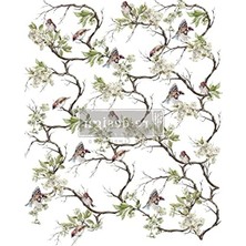 MarkEntegra Prima Blossom Fiight