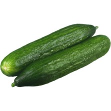 Renas Store Salatalık Beıth Alpha Ithal (Çoklu Tohum) - 5 Gram