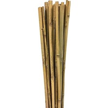 MarkEntegra 10'lu Bambu Destek Çubuğu Seti, 12-14 mm Kalınlık ve 150 cm Uzunluk