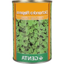 MarkEntegra Genta Dichondra Repens Çim Tohumu 250 gr