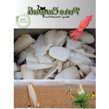 MarkEntegra 100 Gram Küçük Boy Kalamar Kemiği, Sağlıklı Çiğneme Alternatifi