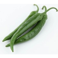 Renas Store Biber Demre (Çoklu Tohum) - 5 Gram