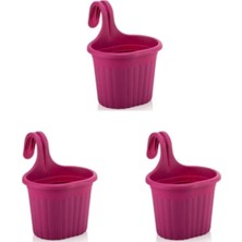 Renas Store Tom1 Asma Balkon Saksi Seti, 3 L, 3 Adet, Fusya
