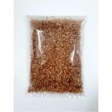 MarkEntegra Kaplumbağa Yemi 100 Gram Gammarus