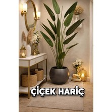 Renas Store Modern Iç ve Dış Mekan Küre Saksı, 40X30 Cm, 25L, Gri, Plastik, Yuvarlak