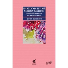 Ayrıntı Yayınları Spinozanin Sevinci Nereden Geliyor