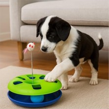MarkEntegra Turuncu Renkli, Dönme Toplu ve Yaylı Fareli Kedi Oyuncağı