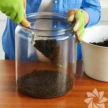 Terrarıum Toprağı, Sukulent, Kaktüs Toprağı Organik Toprak