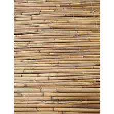 Greenosier Doğal Hasır Kamış Gölgelik Dekorasyon Balkon Teras Pergola Bahçe 50CM x 2metre
