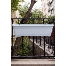 50 × 15 Balkon Saksı'sı