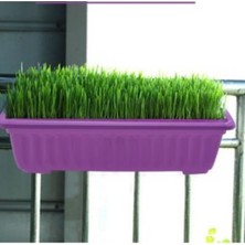 50×15 Balkon Saksı'sı