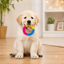 Jetfast 10 cm Köpek Isırma Çember Diş Kaşıma Oyuncak Temizleme Fırça Silikon Köpek Oyuncağı
