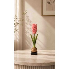 Porland Sümbül Pembe Şamdan 35CM