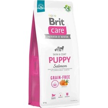 Brit Care Skin  Coat, Deri ve Tüy Hassasiyeti Olan Yavru Köpekler Için, Tahılsız, Somon Balıklı Kuru