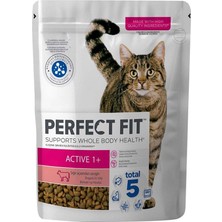 Perfect Fit Yetişkin Sığırlı Kuru Mama 750 G