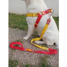 Balkonda Köpek Göğüs Tasması Ayarlanabilir ve Gezdirme Kayışı 2'li Set Orta ve Büyük Irk Sarı & Kırmızı Taraftar
