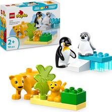 LEGO Duplo Town Vahşi Hayvan Aileleri: Penguenler ve Aslanlar 10442