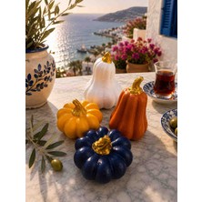 Yıldız İskandinav 🌈 Renklerin En Güzel Haliyle Dekoratif Kabaklar 🎃✨