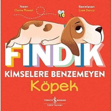 İş Bankası Kültür Yayınları Fındık - Kimselere Benzemeyen Köpek