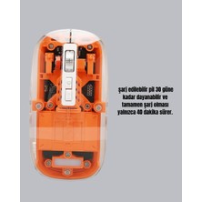 Şarjlı Ergonomik Fare – 1600 Dpı, Sessiz Tıklama Özellikli