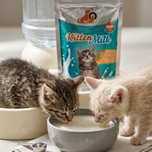 Lady Fify Yavru Kedi Için Taulin, D-Biotin ve Kolin Içeren Süt Tozu (200MG)