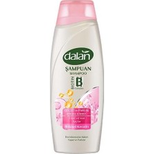 Dalan Güçlü ve Parlak Şampuanı 450 ml