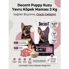 Decent Puppy Kuzu Eti ve Pirinçli Yavru Köpek Maması 3 kg (Yeme Garantili)