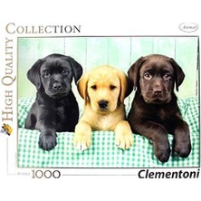 - 1000 Parça Hq Yetişkin Puzzle - Labs