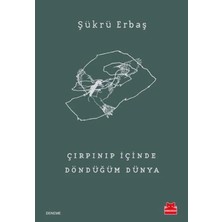 Çırpınıp Içinde Döndüğüm Dünya