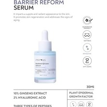 Anyong Bariyer Onarıcı, Kırışıklık ve Yaşlanma Karşıtı Serum (Hyalüronik Asit & Peptit & Seramid & Ginseng)