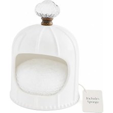 Mud Pie Sünger Kutu, Seramik Kapı Topuzu, 15,7 x 10,8 Cm, Beyaz