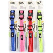 Pawstar Ally Paws Dog Collar Medium 2CMX35-50CM (Asortili)