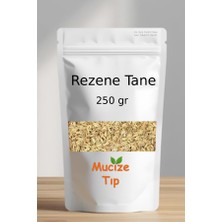 Mucize Tıp Rezene Tohumu Dökme 250 gr