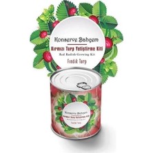 Semel Konserve Bahçem Evde Konservede Fındık Turp Yetiştirme Kiti