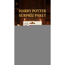 Semel Harry Potter Koleksiyon Figür Sürpriz Paket Oyuncak 1 Adet