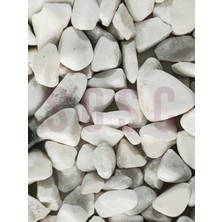 Sosc Natural Sosc Doğal Beyaz Dolomit Çakıl Taşı 0-1 cm Akvaryum ve Peyzaj Taşı 1 kg