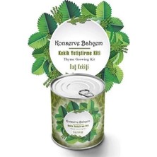 Semel Konserve Bahçem Evde Konservede Kekik Dağ Kekiği Yetiştirme Kiti