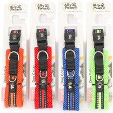 Pawstar Ally Paws Dog Collar Köpek Boyun Tasması Medium 2CMX35-50CM (Asortili)