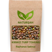 Naturşah Kırmızı Turp Tohumu 50 gr / Raphanus Sativus