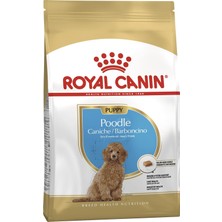 Delixa Poodle Puppy Köpek Maması 3 kg
